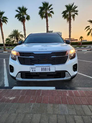 Brand New |  Tabby Available | 24/7 Support