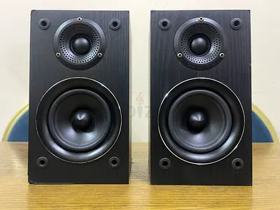 2PC TAGA TAV506S SURROUND SPEAKER
