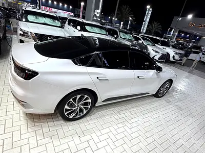 2025 FORD TAURUS 照片 7