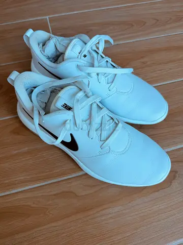 Nike golf shoes (EUR 43, white)