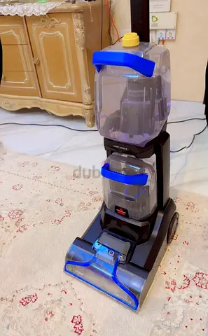 Bissell carpet and sofa