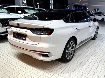 2025 FORD TAURUS 照片 8