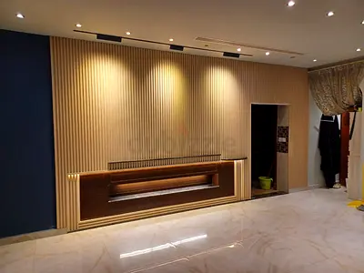 Handyman/paint/Lights Maintenance/Flat Maintenance
