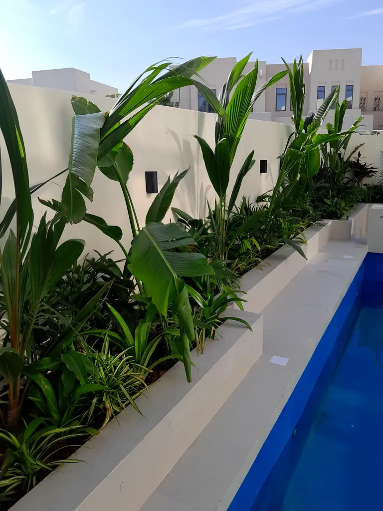DPV_View_Image_2