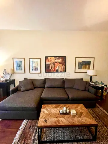 CrateBarrel Lounge Deep feather filled L Shape Sofa