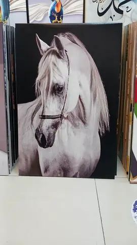 Elegant Black and White Horse Portrait