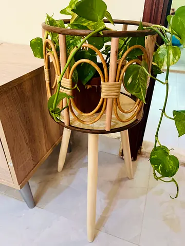 Stylish Plant Stand with Modern Design