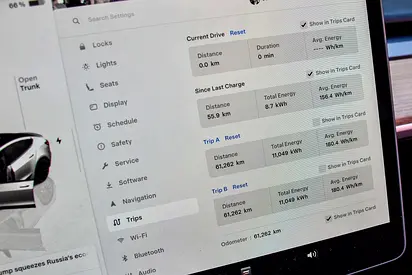 2023 Tesla MODEL 3 缩略图 17