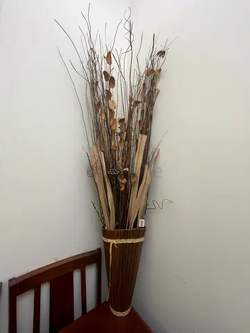 Decoration plant