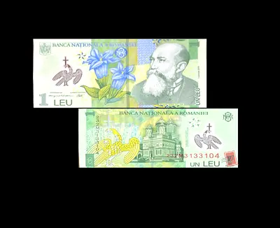Rare Romanian 1 Leu Banknote