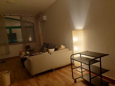 L Shape Couch