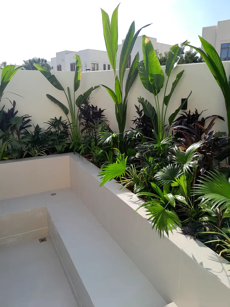 DPV_View_Image_1