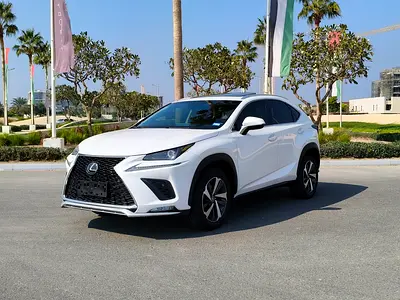 Lexus Nx300 2019 Model. 360 camera, full Option. 100411 drive only.