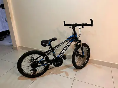 Original mountain bike for kids fengs brand
