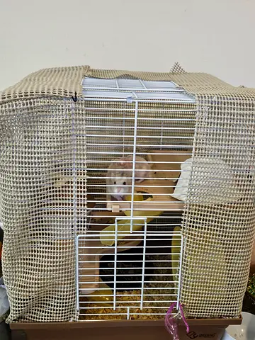 Stylish Hamster Cage with Accessories
