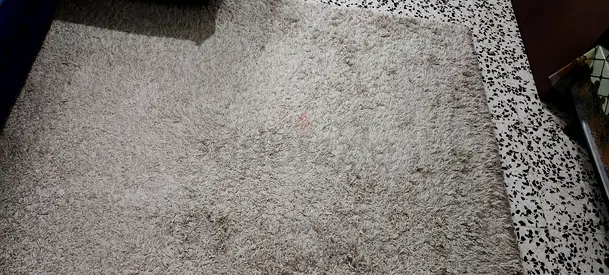 Rug / Carpet
