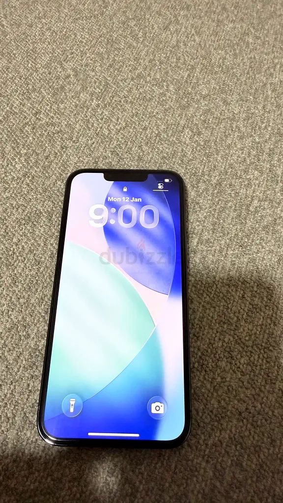 iPhone 13 Pro65073407018115111