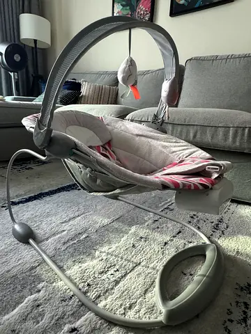 Baby bouncer