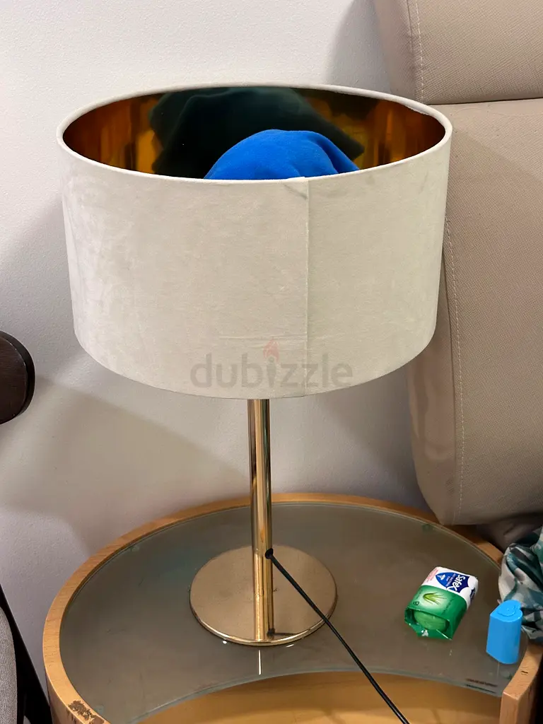 Stylish Modern Table Lamp