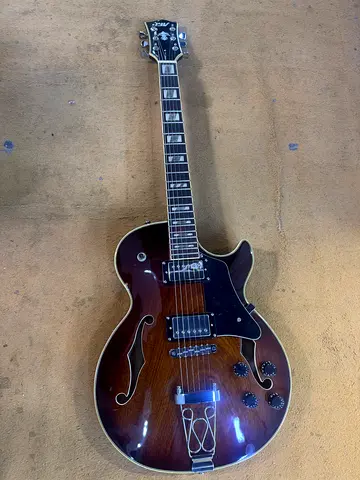 IYV Electric Guitar IJZ-300A