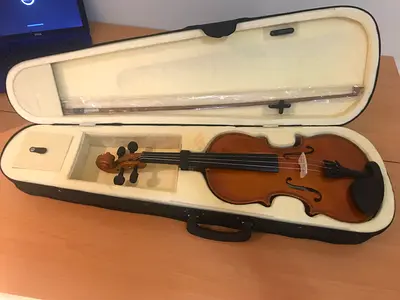 violin for sale