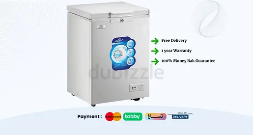 Chest Freezer 299L Cheaper Price with Warranty