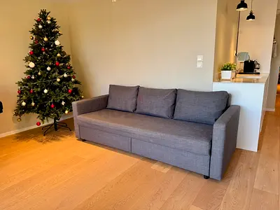 Comfortable Gray Sofa bed in Great Condition