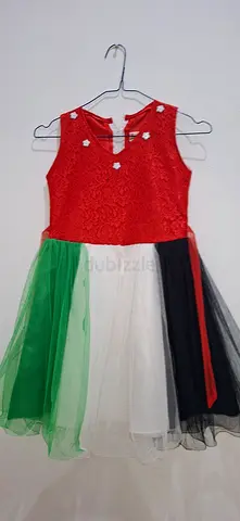 Adorable UAE-Themed Dress for Kids