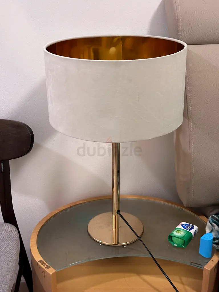 Stylish Modern Table Lamp65073411015298112