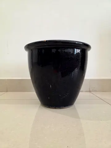 Elegant Black Ceramic Plant Pot