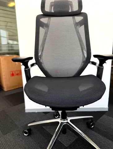 Ergonomic Mesh Office Chair