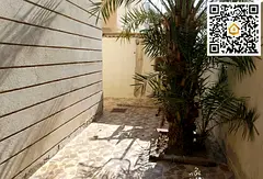 Single-Story House | 3361 sq ft | 4 Bedrooms + Hall + Kitchen | Al Nuaimiya 1 – Ajman | AED 1,200,