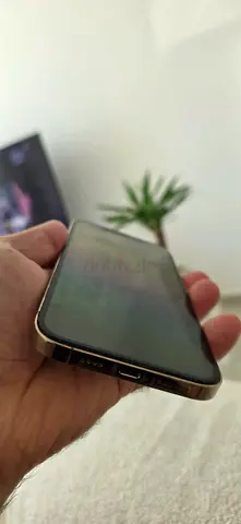 iPhone 12 pro max 512GB for Sale: Excellent Condition