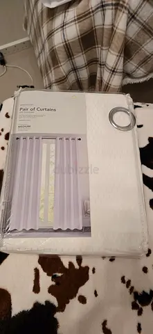 Pair of Curtains Home Centre