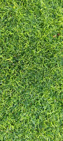 400 sq. m. of High-Quality Artificial Grass