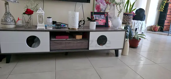 Stylish Modern TV Console with Storage