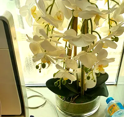Elegant Artificial Orchid Plant in Stylish Pot