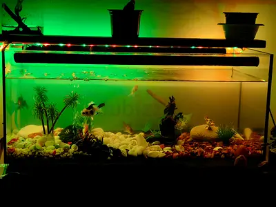 65 ×25 cm Aquarium glass tank with with all the equipments.