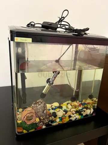 Aquarium with all required equipments for Sale - Suitable for Fish and Decor