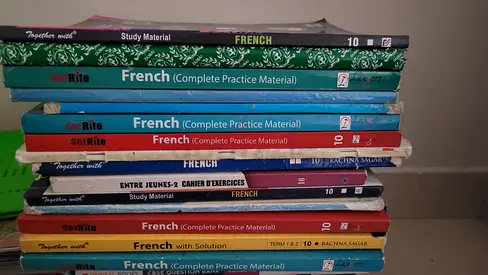 Cbse grade 10 NCERT GUIDES for sale