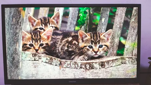 Samsung 22 Inch FHD Flat Monitor 60Hz Black LS22A33