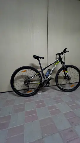 Giant mountain bike