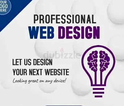 I  will design your professional website.