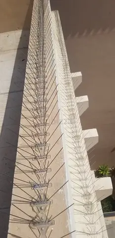 Bird control services in Dubai