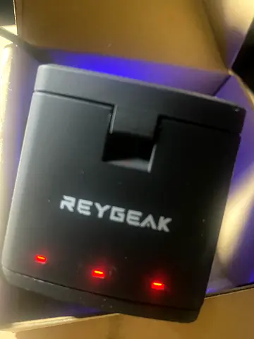 Raygeak Twin Battery  + Charger for Gopro 9/10/11