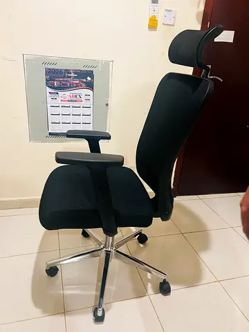 Ergonomic Office Chair with Adjustable Features