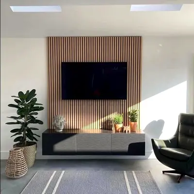 Modern Entertainment Unit