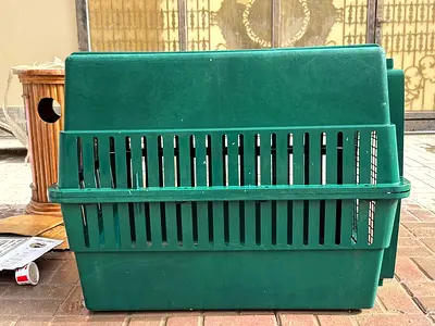 Green Pet Carrier for Safe Travel