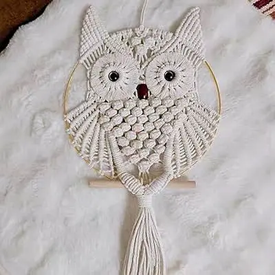 Handcrafted Owl Macrame Wall Hanging