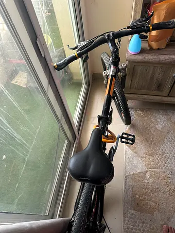 Well-Maintained Mountain Bike for Sale